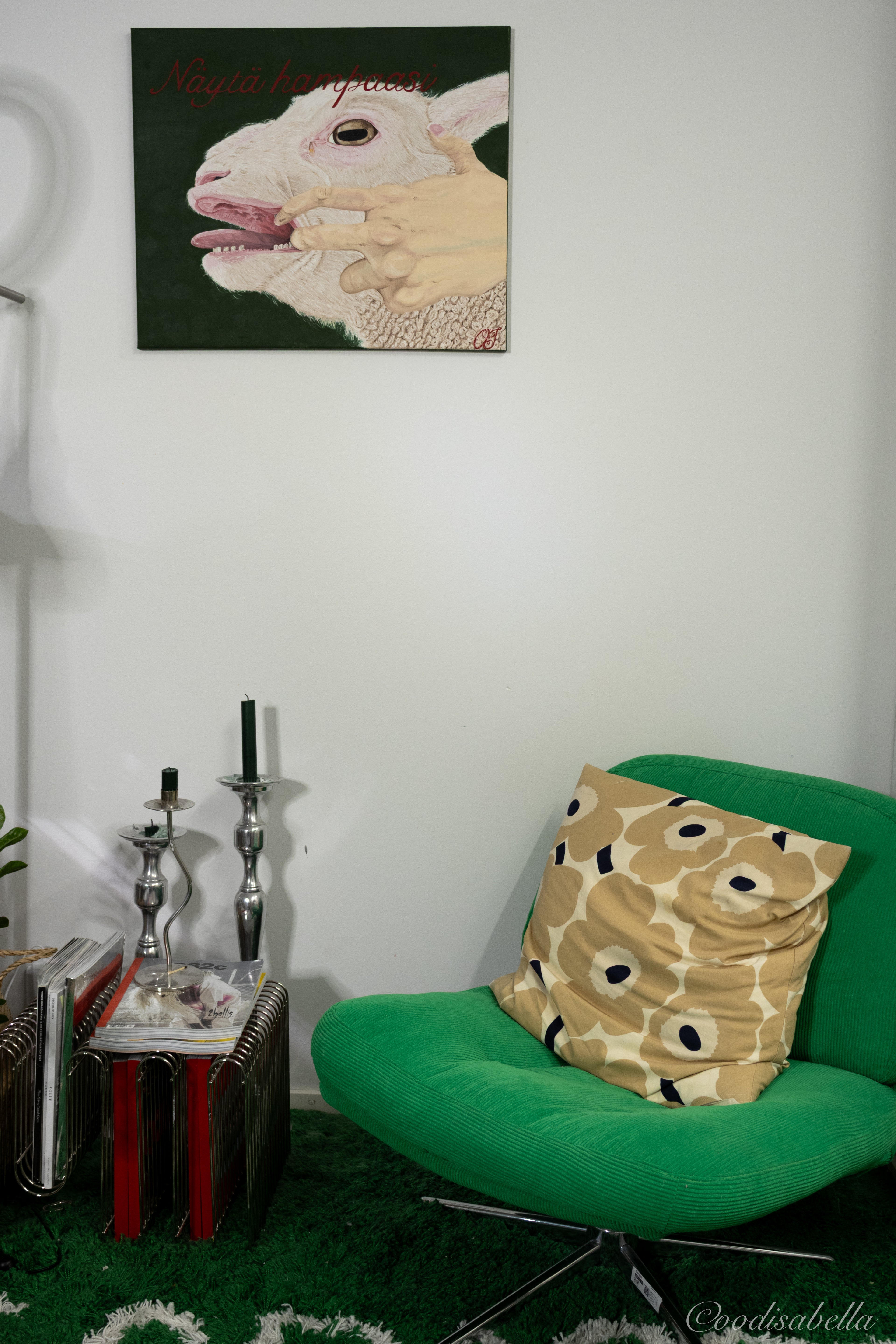 Näytä hampaasi, 40cm x 50cm